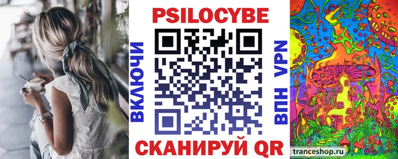Купить  Петровск-Забайкальский  Псилоцибиновые грибы Psilocybe 