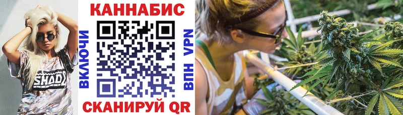 Купить  Петровск-Забайкальский  Шишки марихуана план 